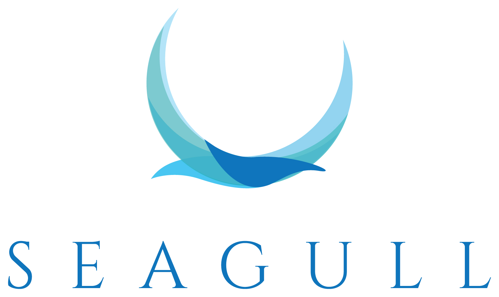 Seagull