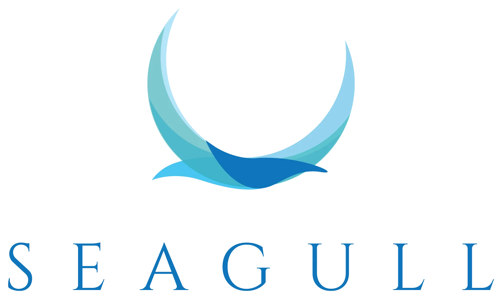 Seagull