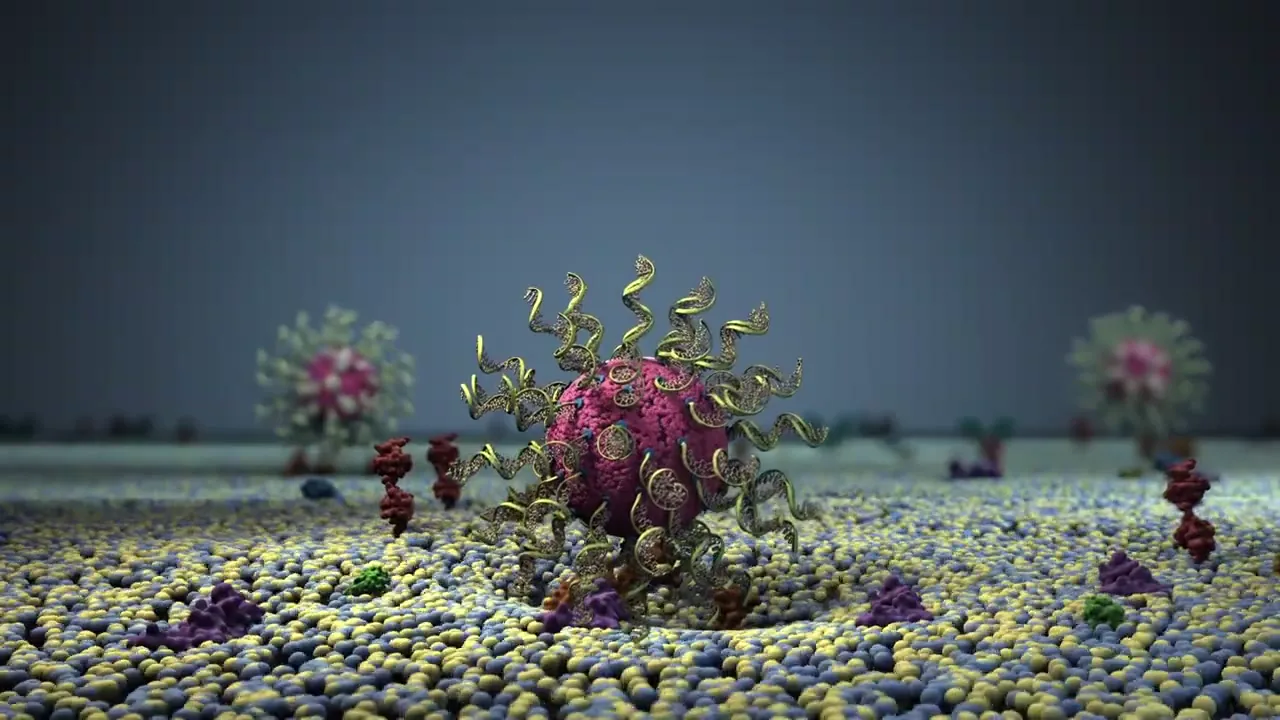 Scientific mechanism visualization