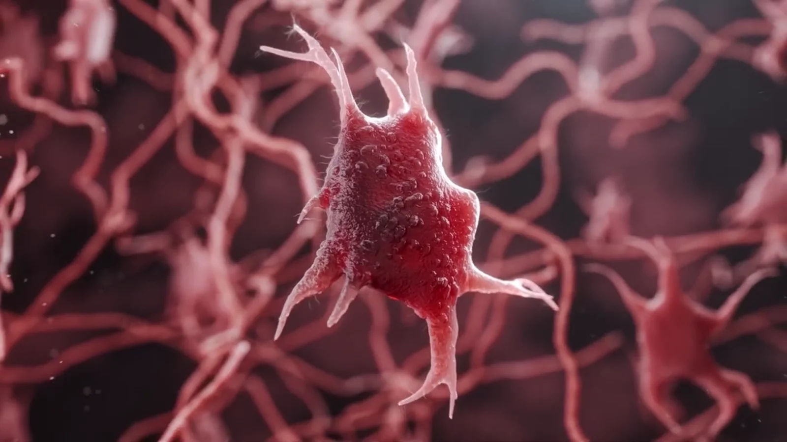 Cellular animation