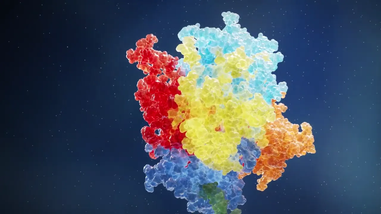 Molecular structure visualization