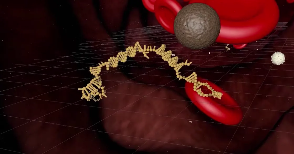 Molecular delivery visualization