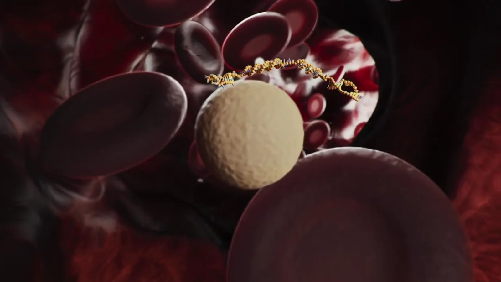 Molecular delivery visualization