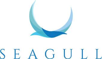 Seagull